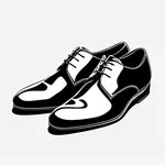 polished black shoes image